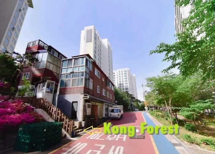 Kongforest * Seoul